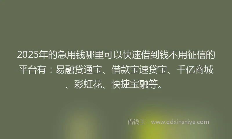 2025年的急用钱哪里可以快速借到钱不用征信的平台有：易融贷通宝、借款宝速贷宝、千亿商城、彩虹花、快捷宝融等。