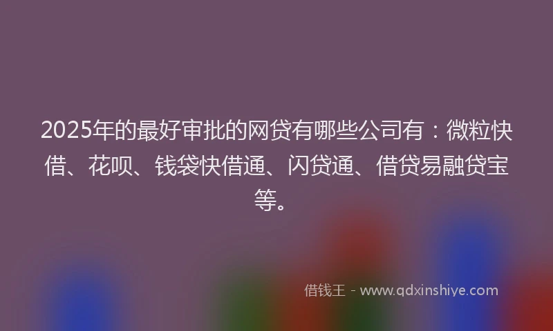 2025年的最好审批的网贷有哪些公司有：微粒快借、花呗、钱袋快借通、闪贷通、借贷易融贷宝等。