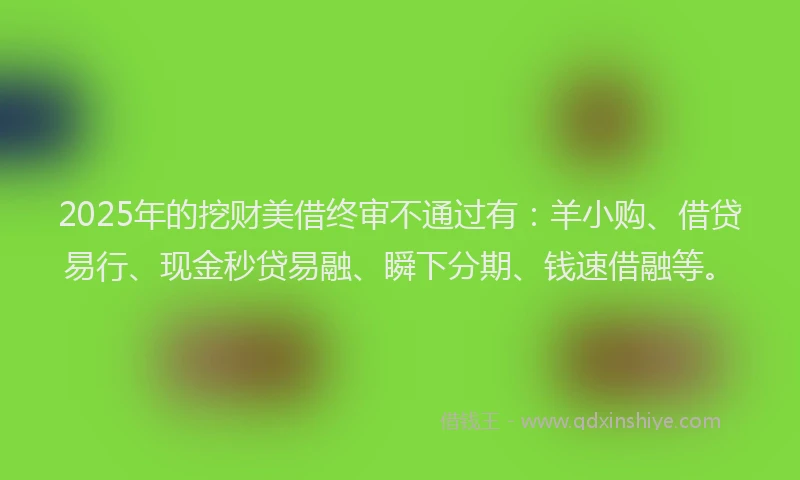 2025年的挖财美借终审不通过有：羊小购、借贷易行、现金秒贷易融、瞬下分期、钱速借融等。