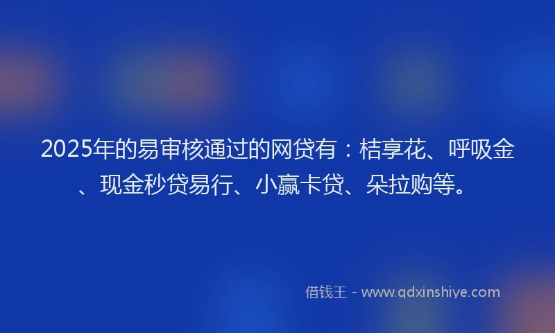 2025年的易审核通过的网贷有：桔享花、呼吸金、现金秒贷易行、小赢卡贷、朵拉购等。