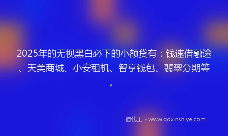 2025年的无视黑白必下的小额贷有：钱速借融途、天美商城、小安租机、智享钱包、翡翠分期等。