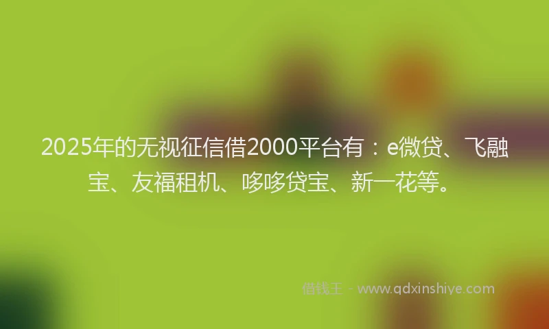 2025年的无视征信借2000平台有：e微贷、飞融宝、友福租机、哆哆贷宝、新一花等。