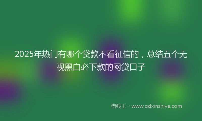 2025年热门有哪个贷款不看征信的，总结五个无视黑白必下款的网贷口子