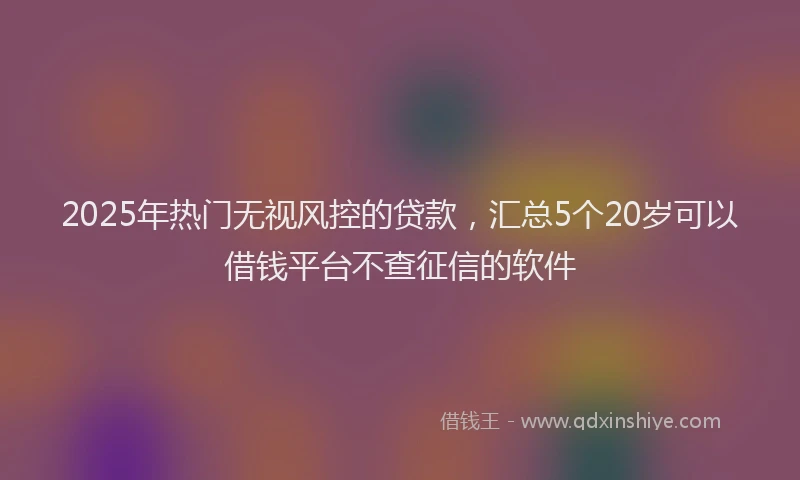 2025年热门无视风控的贷款，汇总5个20岁可以借钱平台不查征信的软件