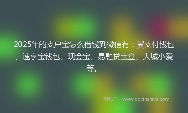 2025年的支户宝怎么借钱到微信有：翼支付钱包、速享宝钱包、现金宝、易融贷宝盒、大城小爱等。