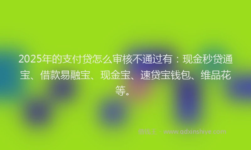 2025年的支付贷怎么审核不通过有：现金秒贷通宝、借款易融宝、现金宝、速贷宝钱包、维品花等。