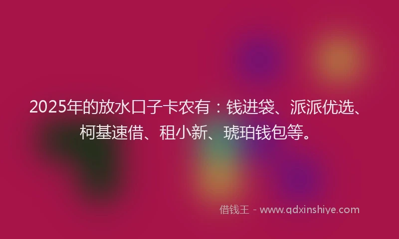 2025年的放水口子卡农有：钱进袋、派派优选、柯基速借、租小新、琥珀钱包等。
