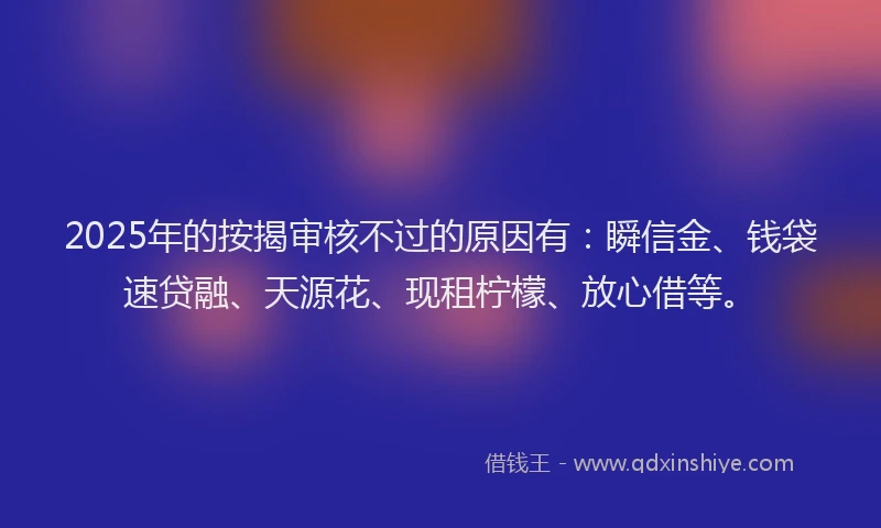 2025年的按揭审核不过的原因有：瞬信金、钱袋速贷融、天源花、现租柠檬、放心借等。
