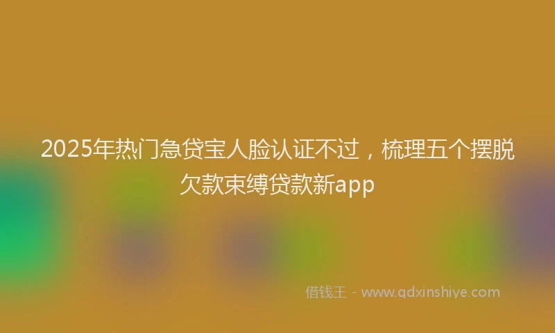2025年热门急贷宝人脸认证不过，梳理五个摆脱欠款束缚贷款新app