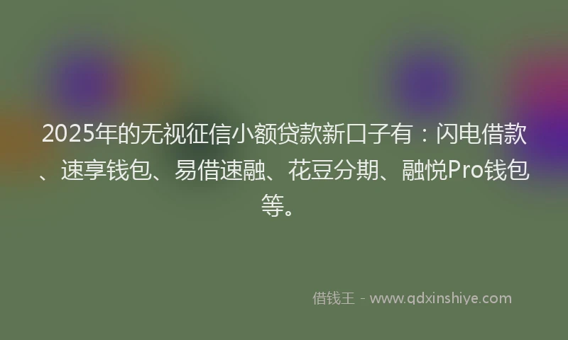 2025年的无视征信小额贷款新口子有：闪电借款、速享钱包、易借速融、花豆分期、融悦Pro钱包等。