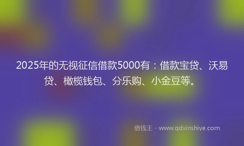 2025年的无视征信借款5000有：借款宝贷、沃易贷、橄榄钱包、分乐购、小金豆等。