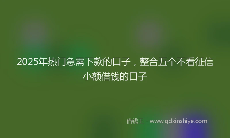 2025年热门急需下款的口子，整合五个不看征信小额借钱的口子