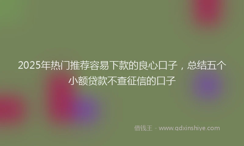2025年热门推荐容易下款的良心口子，总结五个小额贷款不查征信的口子