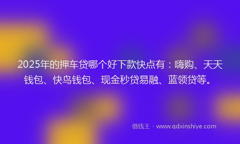 2025年的押车贷哪个好下款快点有：嗨购、天天钱包、快鸟钱包、现金秒贷易融、蓝领贷等。