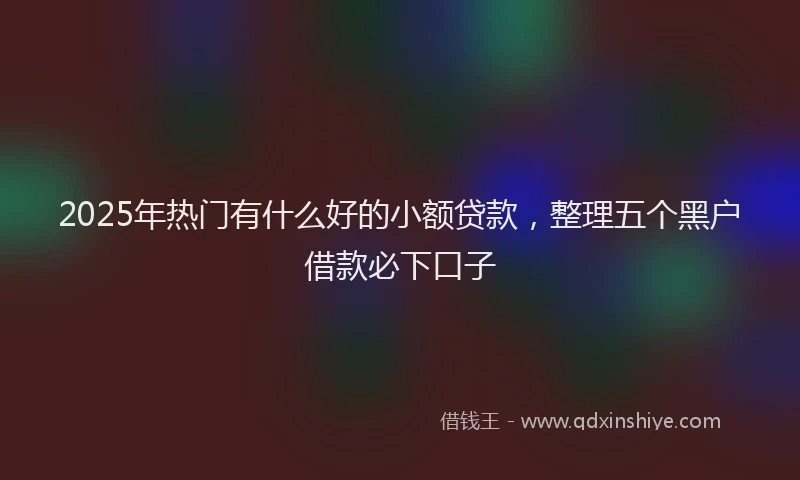 2025年热门有什么好的小额贷款，整理五个黑户借款必下口子