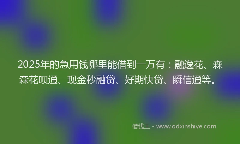2025年的急用钱哪里能借到一万有：融逸花、森森花呗通、现金秒融贷、好期快贷、瞬信通等。