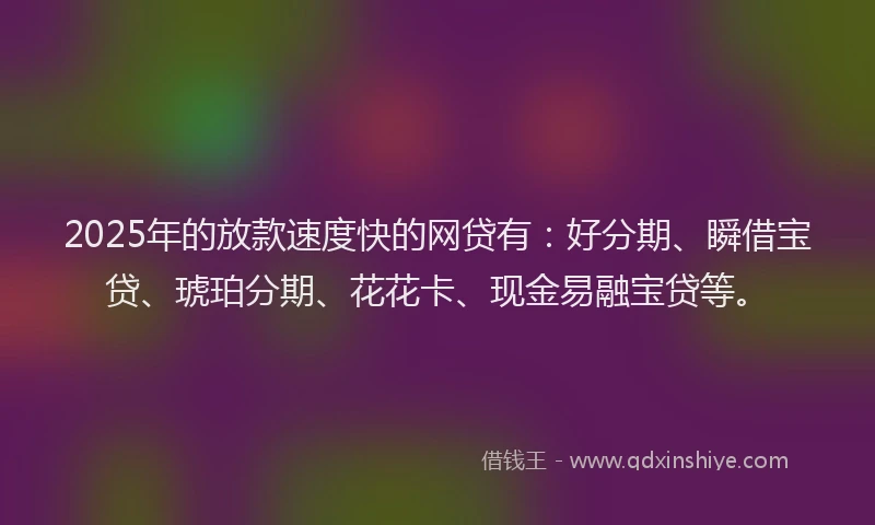 2025年的放款速度快的网贷有：好分期、瞬借宝贷、琥珀分期、花花卡、现金易融宝贷等。