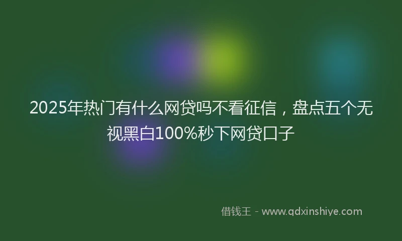 2025年热门有什么网贷吗不看征信，盘点五个无视黑白100%秒下网贷口子
