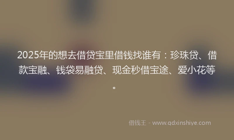 2025年的想去借贷宝里借钱找谁有：珍珠贷、借款宝融、钱袋易融贷、现金秒借宝途、爱小花等。