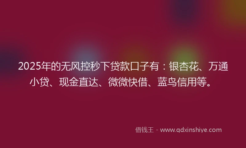 2025年的无风控秒下贷款口子有：银杏花、万通小贷、现金直达、微微快借、蓝鸟信用等。