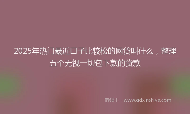 2025年热门最近口子比较松的网贷叫什么，整理五个无视一切包下款的贷款