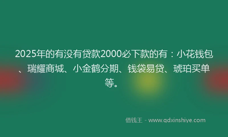 2025年的有没有贷款2000必下款的有：小花钱包、瑞耀商城、小金鹤分期、钱袋易贷、琥珀买单等。