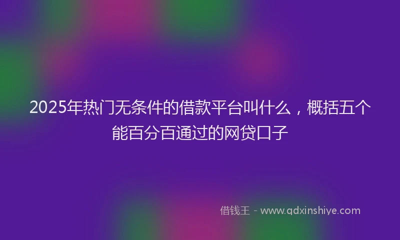 2025年热门无条件的借款平台叫什么，概括五个能百分百通过的网贷口子