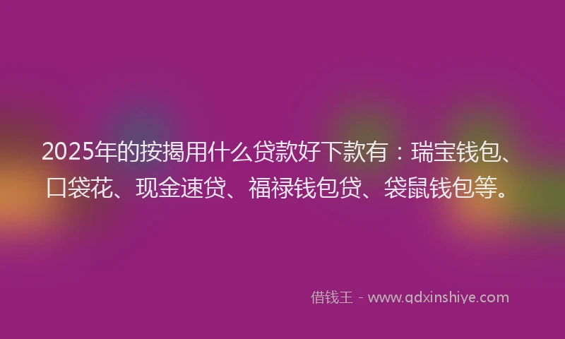 2025年的按揭用什么贷款好下款有：瑞宝钱包、口袋花、现金速贷、福禄钱包贷、袋鼠钱包等。