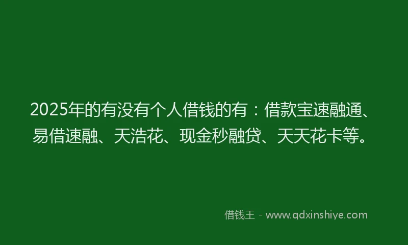 2025年的有没有个人借钱的有：借款宝速融通、易借速融、天浩花、现金秒融贷、天天花卡等。