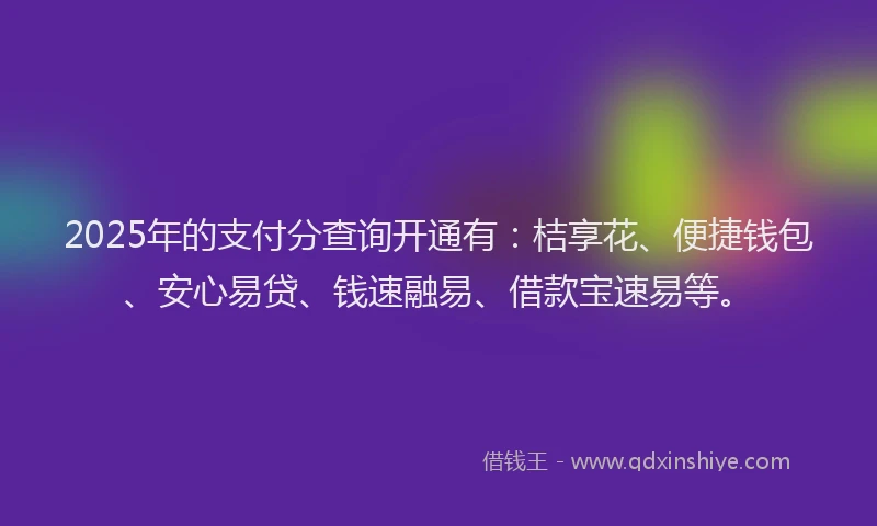 2025年的支付分查询开通有：桔享花、便捷钱包、安心易贷、钱速融易、借款宝速易等。