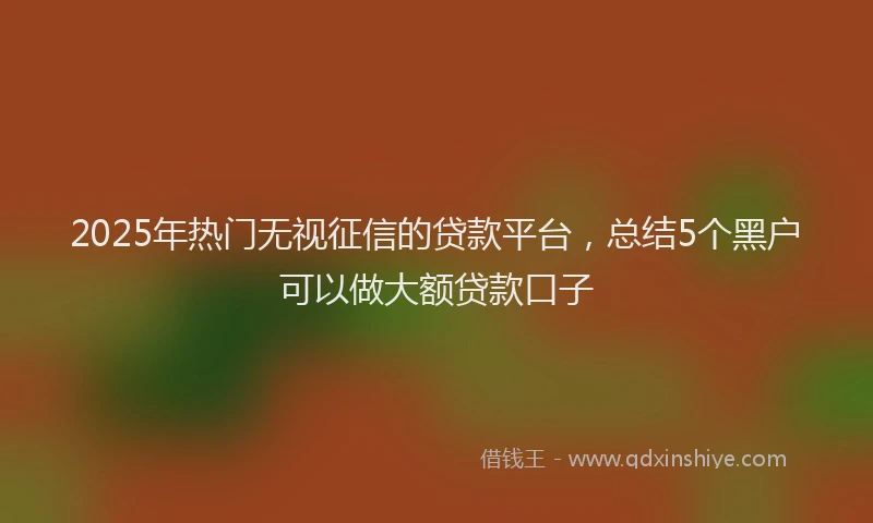 2025年热门无视征信的贷款平台，总结5个黑户可以做大额贷款口子