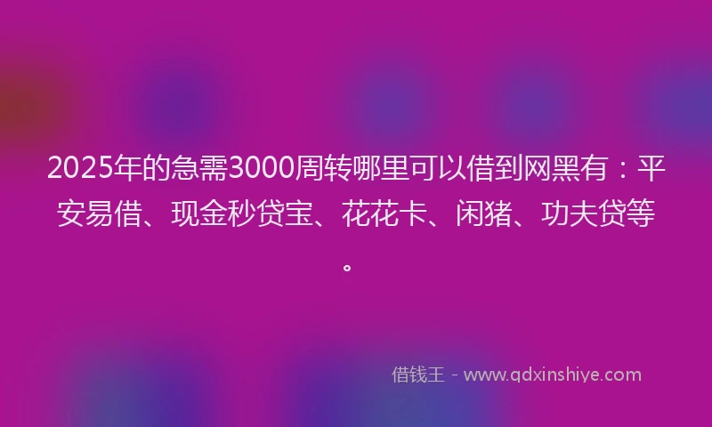 2025年的急需3000周转哪里可以借到网黑有：平安易借、现金秒贷宝、花花卡、闲猪、功夫贷等。