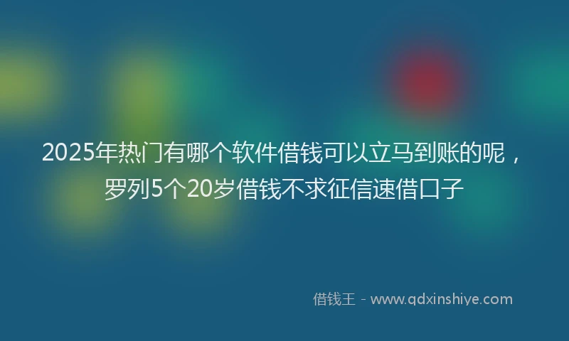 2025年热门有哪个软件借钱可以立马到账的呢，罗列5个20岁借钱不求征信速借口子