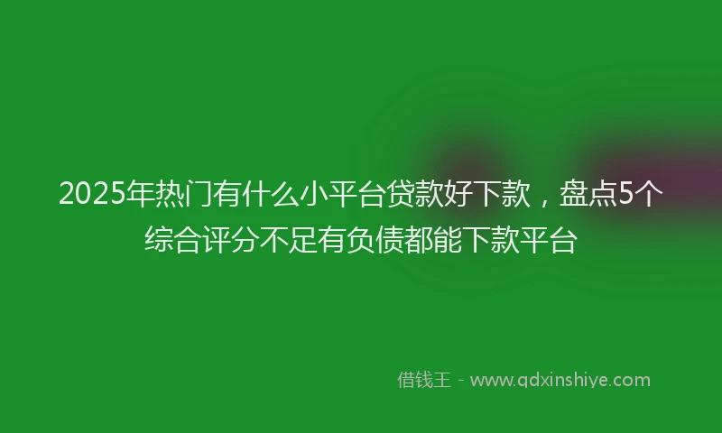2025年热门有什么小平台贷款好下款，盘点5个综合评分不足有负债都能下款平台