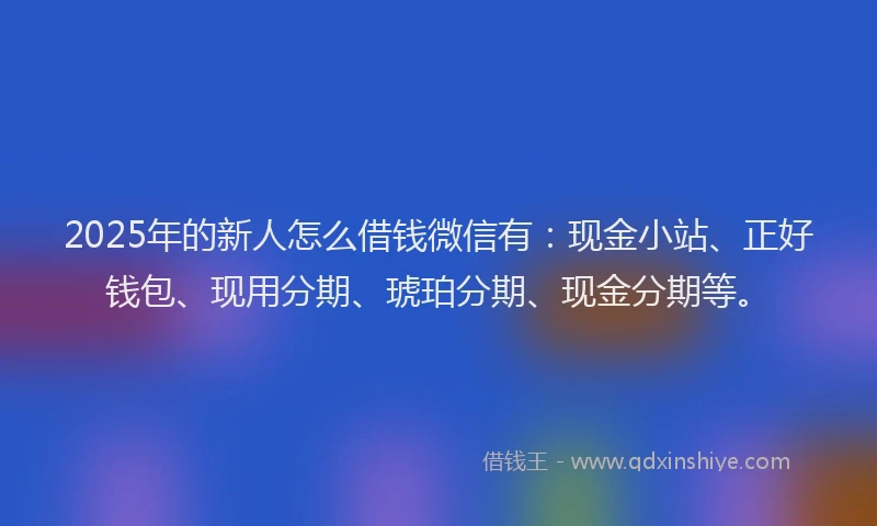 2025年的新人怎么借钱微信有：现金小站、正好钱包、现用分期、琥珀分期、现金分期等。