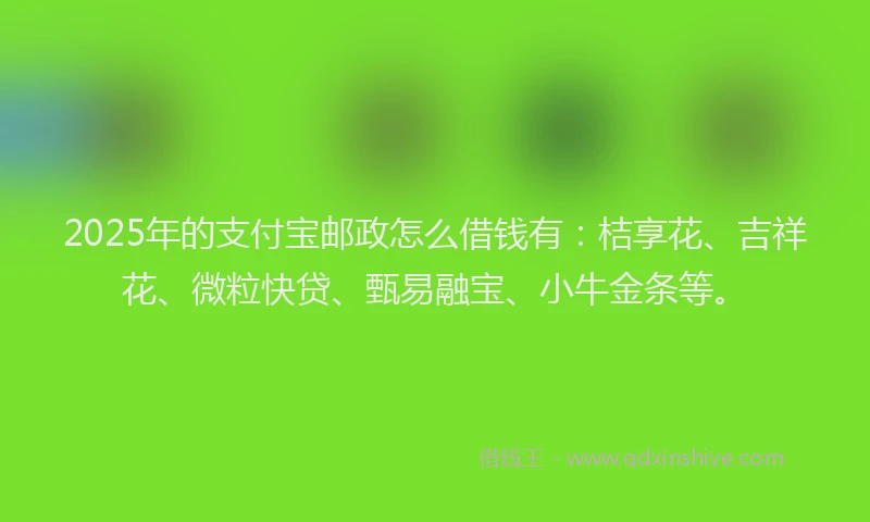 2025年的支付宝邮政怎么借钱有：桔享花、吉祥花、微粒快贷、甄易融宝、小牛金条等。