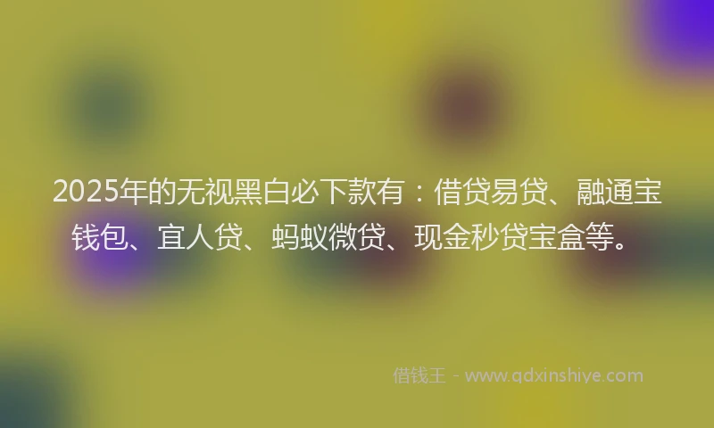 2025年的无视黑白必下款有：借贷易贷、融通宝钱包、宜人贷、蚂蚁微贷、现金秒贷宝盒等。