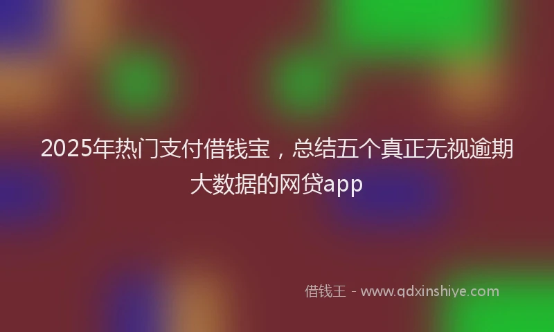 2025年热门支付借钱宝，总结五个真正无视逾期大数据的网贷app