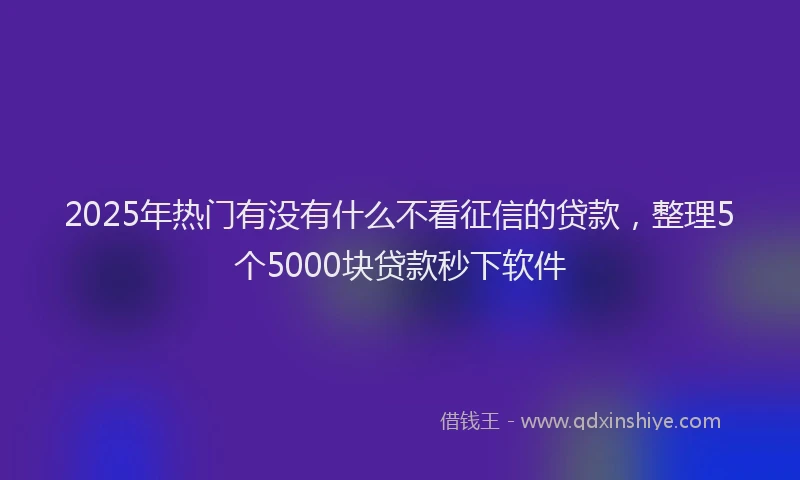 2025年热门有没有什么不看征信的贷款，整理5个5000块贷款秒下软件