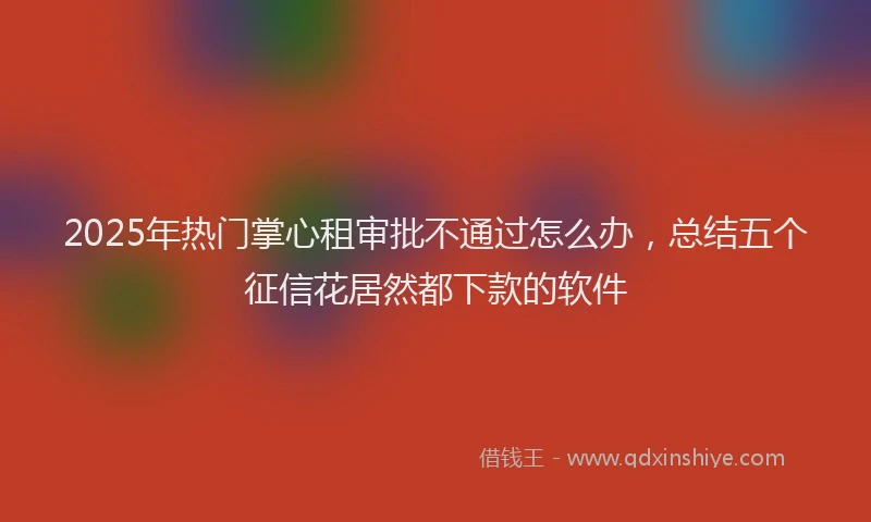 2025年热门掌心租审批不通过怎么办，总结五个征信花居然都下款的软件