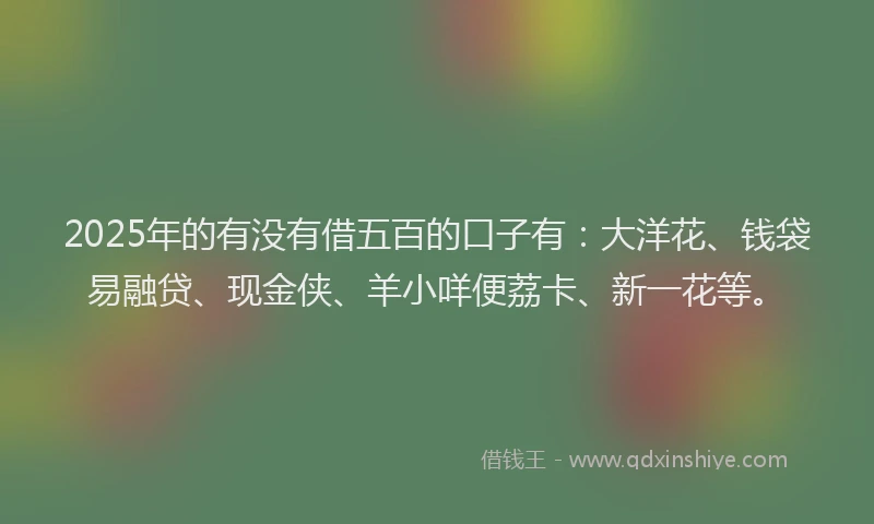 2025年的有没有借五百的口子有：大洋花、钱袋易融贷、现金侠、羊小咩便荔卡、新一花等。