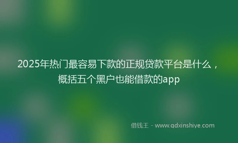 2025年热门最容易下款的正规贷款平台是什么，概括五个黑户也能借款的app