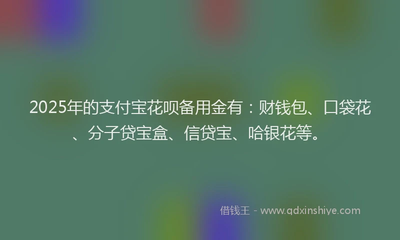 2025年的支付宝花呗备用金有：财钱包、口袋花、分子贷宝盒、信贷宝、哈银花等。