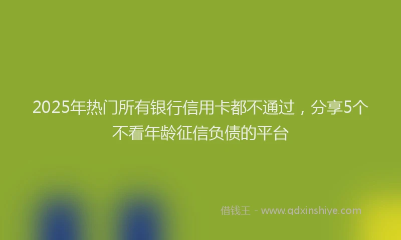 2025年热门所有银行信用卡都不通过，分享5个不看年龄征信负债的平台