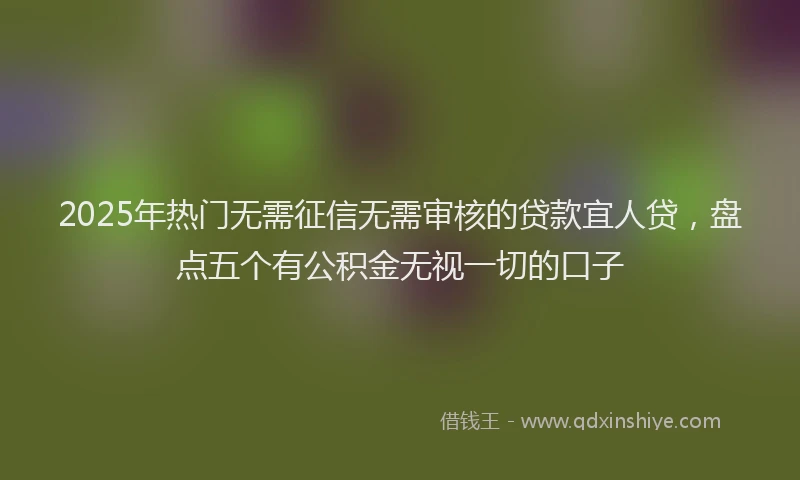2025年热门无需征信无需审核的贷款宜人贷，盘点五个有公积金无视一切的口子