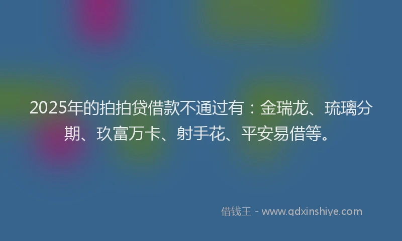 2025年的拍拍贷借款不通过有：金瑞龙、琉璃分期、玖富万卡、射手花、平安易借等。