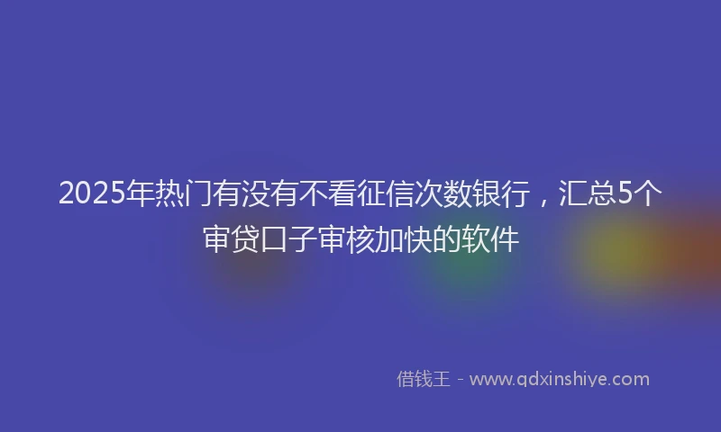 2025年热门有没有不看征信次数银行，汇总5个审贷口子审核加快的软件