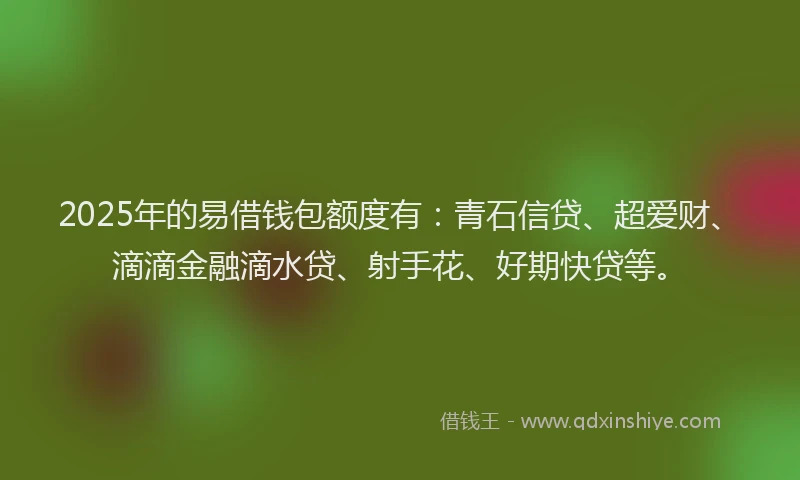 2025年的易借钱包额度有：青石信贷、超爱财、滴滴金融滴水贷、射手花、好期快贷等。