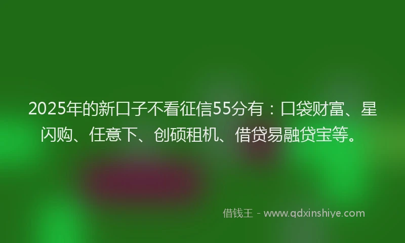 2025年的新口子不看征信55分有：口袋财富、星闪购、任意下、创硕租机、借贷易融贷宝等。