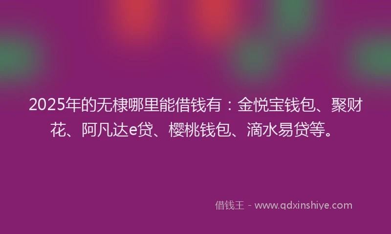 2025年的无棣哪里能借钱有：金悦宝钱包、聚财花、阿凡达e贷、樱桃钱包、滴水易贷等。